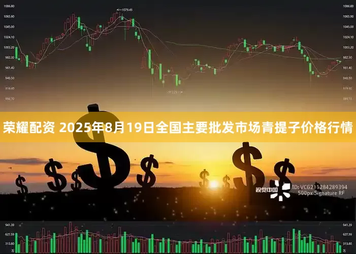荣耀配资 2025年8月19日全国主要批发市场青提子价格行情