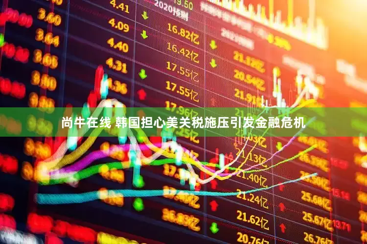 尚牛在线 韩国担心美关税施压引发金融危机